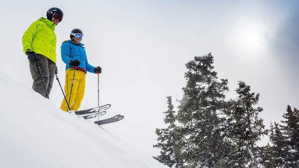 Cargar ítem 2 de 5. Pair of skiers on a hill