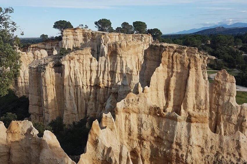 Discovery "les Orgues and truffles"