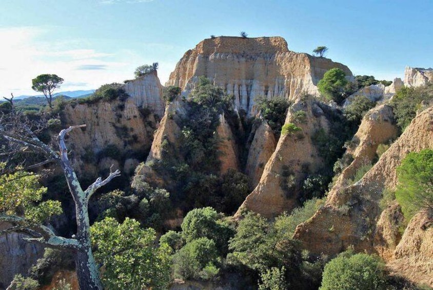 Discovery "les Orgues and truffles"