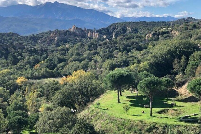 Discovery "les Orgues and truffles"
