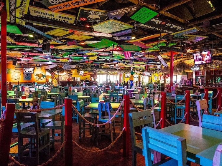Señor Frog's Orlando - Lunch