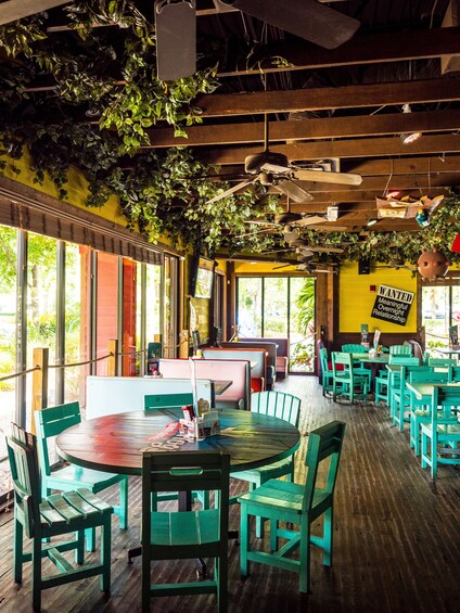 Señor Frog's Orlando - Lunch