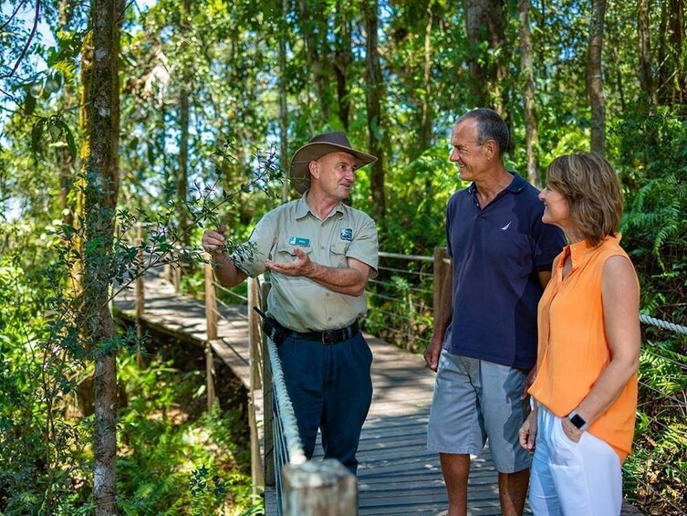 Kuranda Scenic Rail & Skyrail including Gold Class