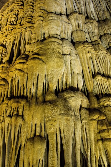 Full-day Discover Phong Nha Cave From Hue City