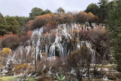 Ciudad Encantada Excursion + Cuervo River Birth