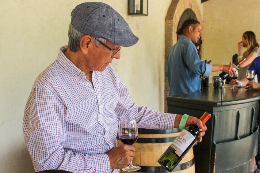 From Santiago: Viña Concha y Toro Traditional Half-Day Tour