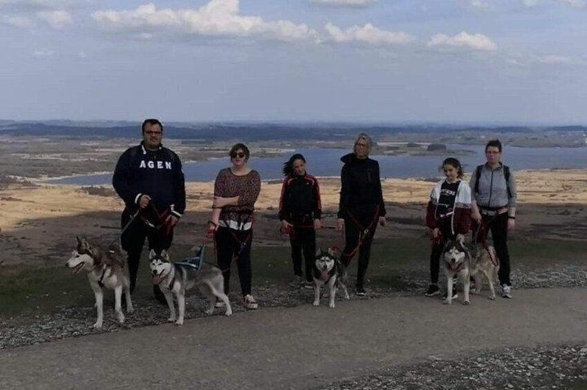 Cani Rando, fun and original hiking, pulled by huskies