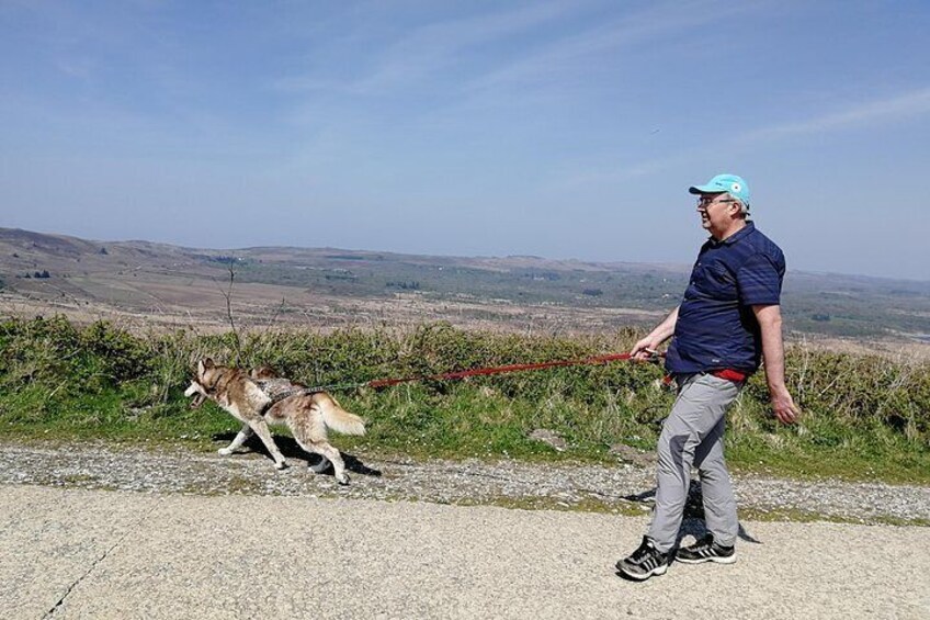 Cani Rando, fun and original hiking, pulled by huskies