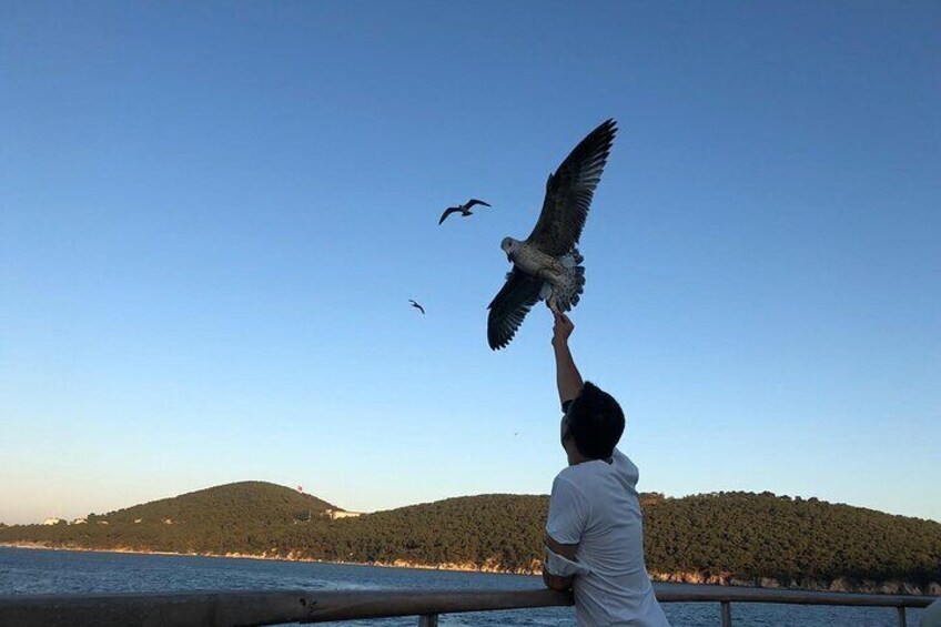 Princess Islands Tour(Heybeli and Buyukada)With Lunch and Guide