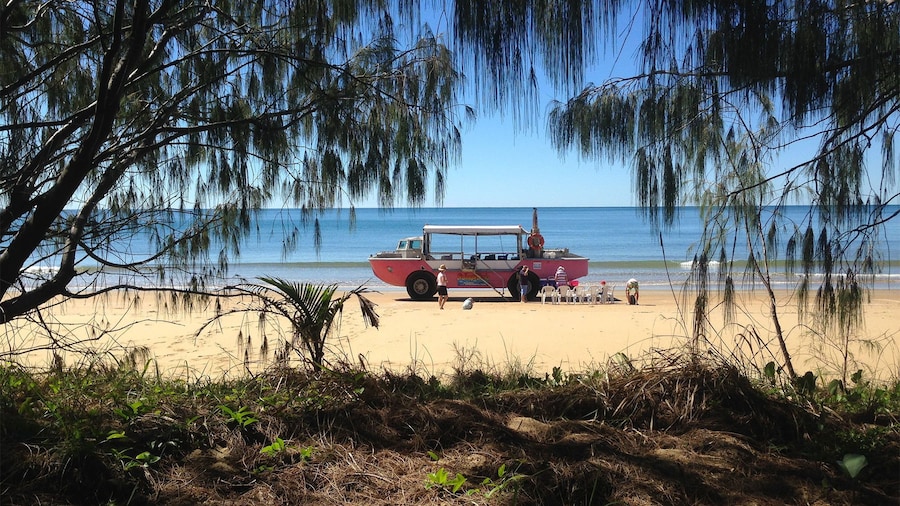 Water view on the Larc tour in Queensland Regional North, QLD, Australia