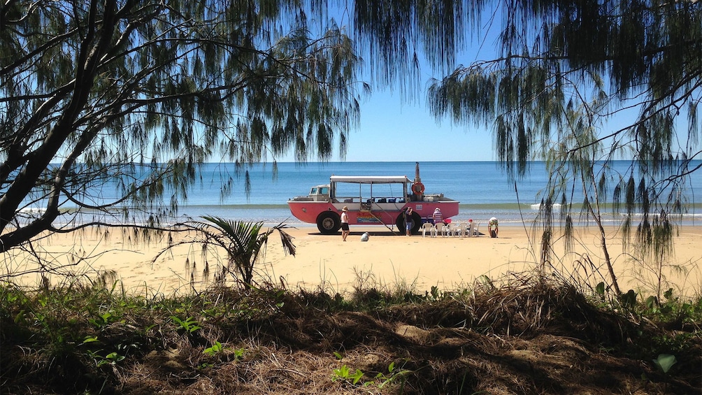 Water view on the Larc tour in Queensland Regional North, QLD, Australia