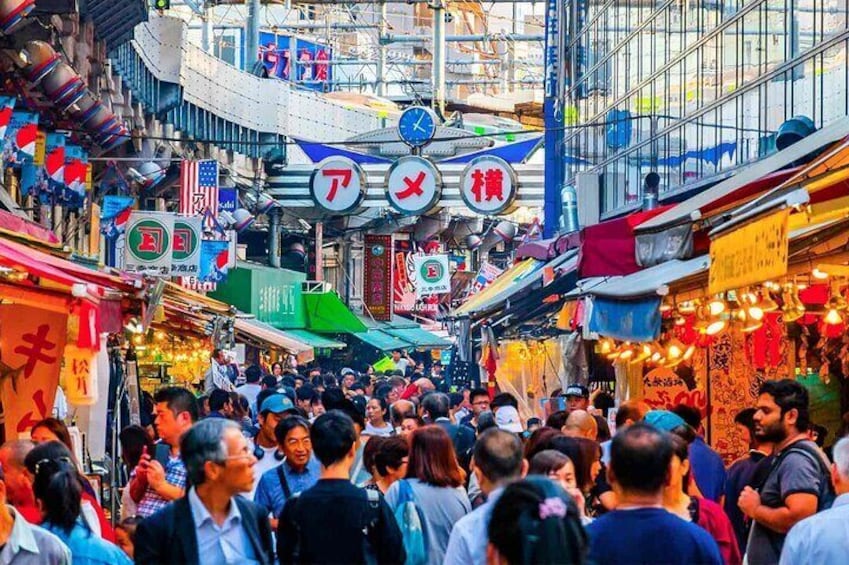 Tokyo Shopping Street Hopping Private Tour with Nationally Licensed Guide