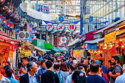 政府公認ガイド付き東京ショッピング ストリート ホッピング プライベート ツアー