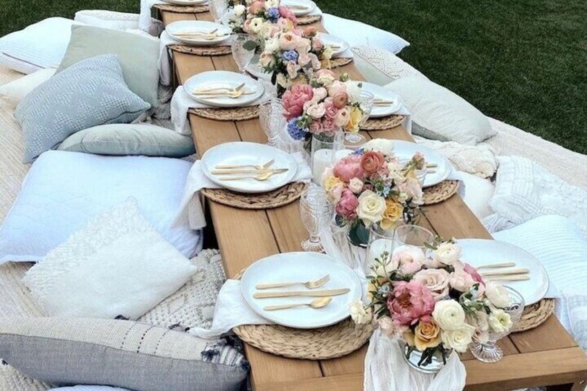 Outdoor Luxury Themed Picnic Setup in Detroit