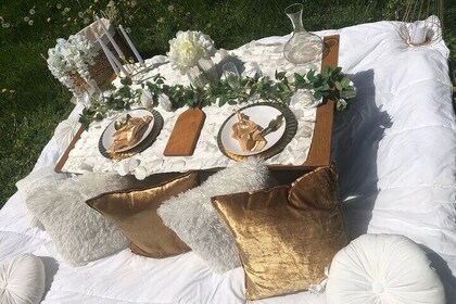 Outdoor Luxury Themed Picnic Setup in Detroit