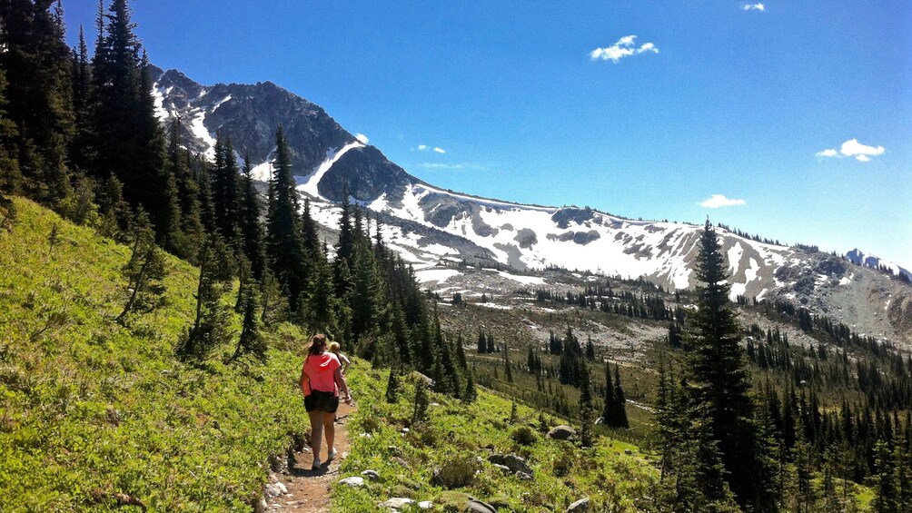 Hikers on trail in Whistler, BC