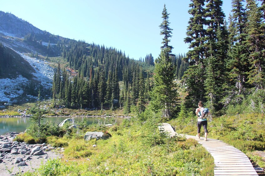 Whistler Alpine Hiking Tour - Guided