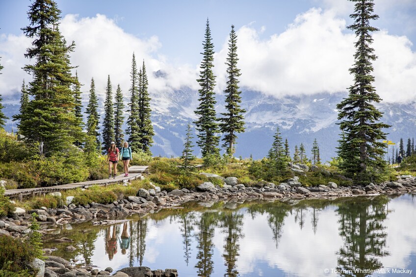 Whistler Alpine Hiking Tour - Guided