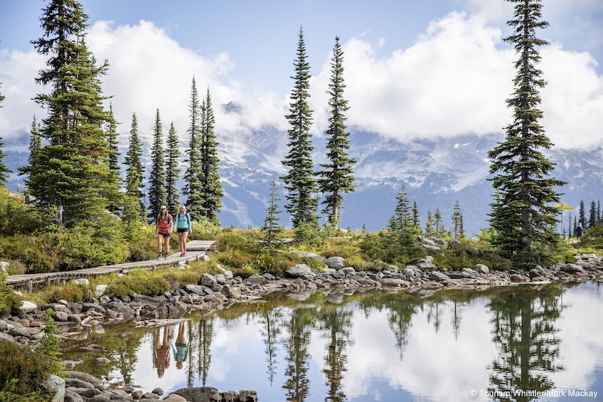 Whistler Alpine Hiking Tour - Private Guided