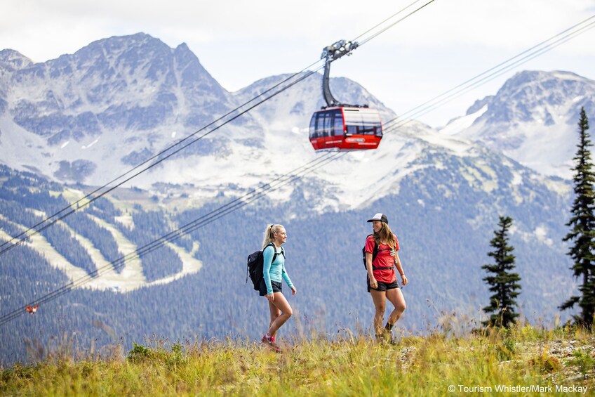 Whistler Alpine Hiking Tour - Private Guided