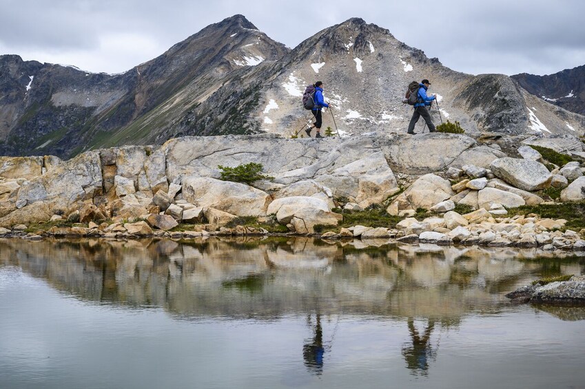 Whistler Alpine Hiking Tour - Private Guided