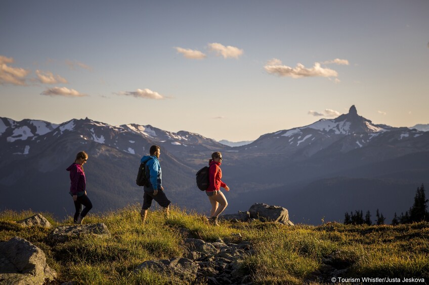 Whistler Alpine Hiking Tour - Private Guided