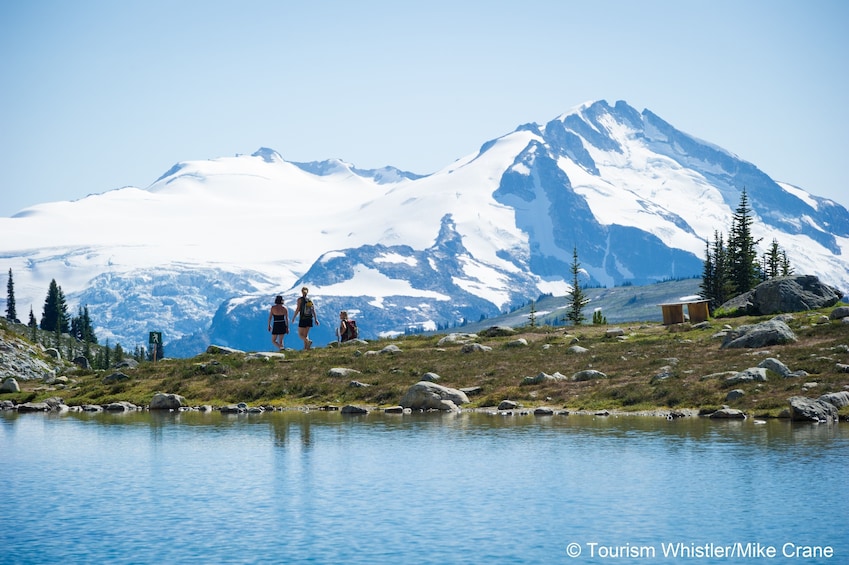 Whistler Alpine Hiking Tour - Private Guided