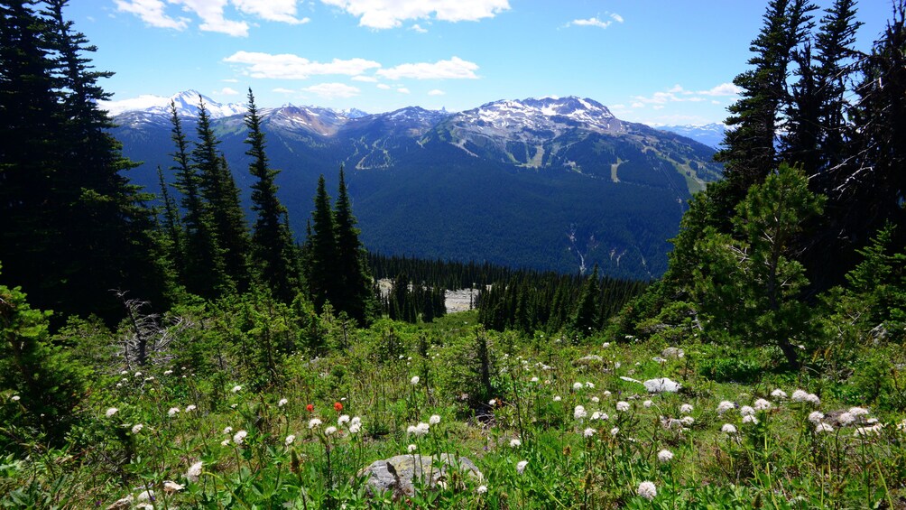 Mountain view of Whistler, BC