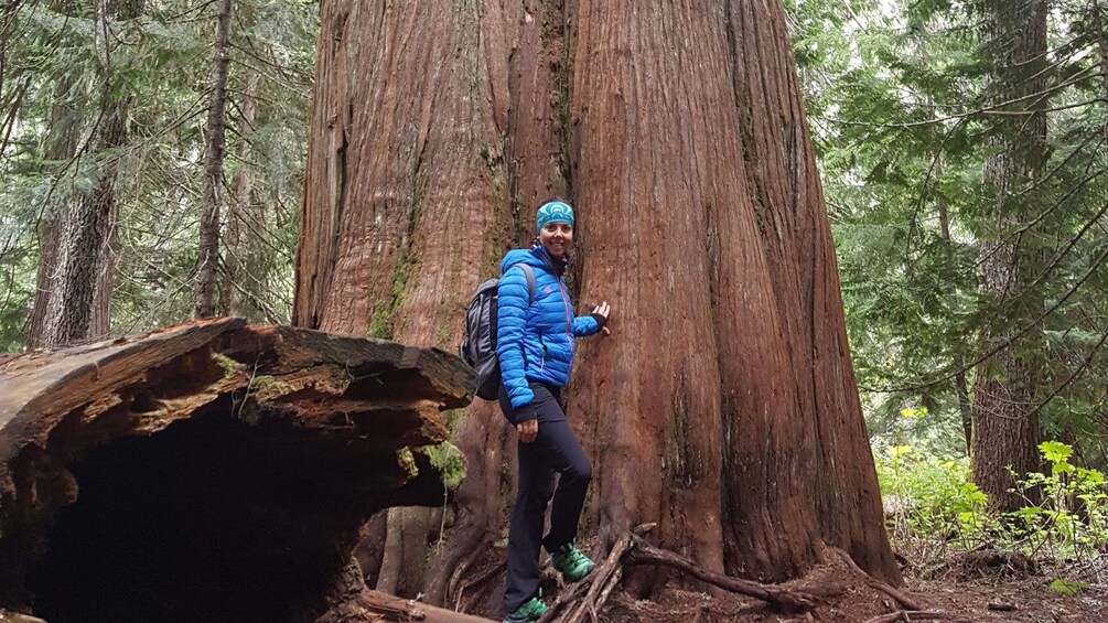 Woman poses next to enormous tree