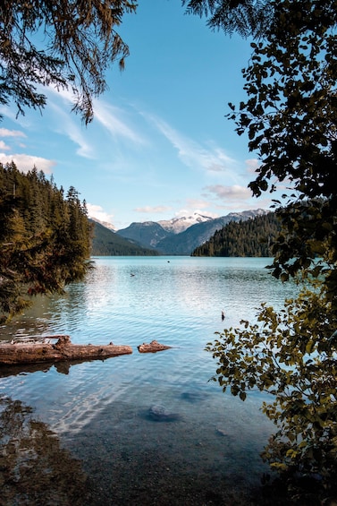 Rainforest Hike to Cheakamus Lake - Private Guided