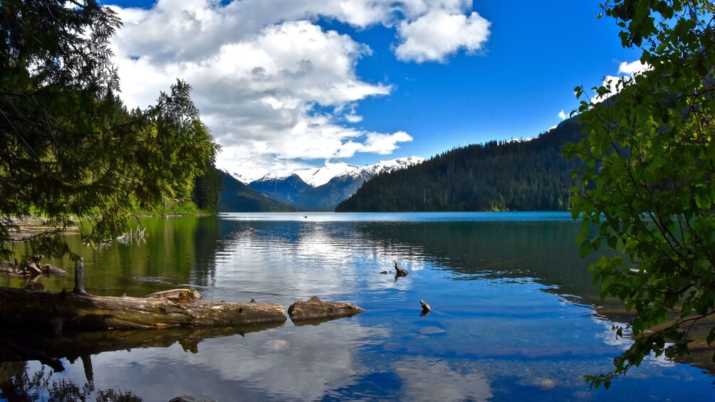 Lake in Whistler BC