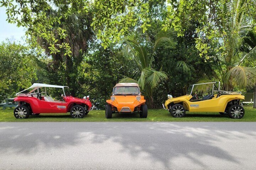 Reserve your buggy today. 