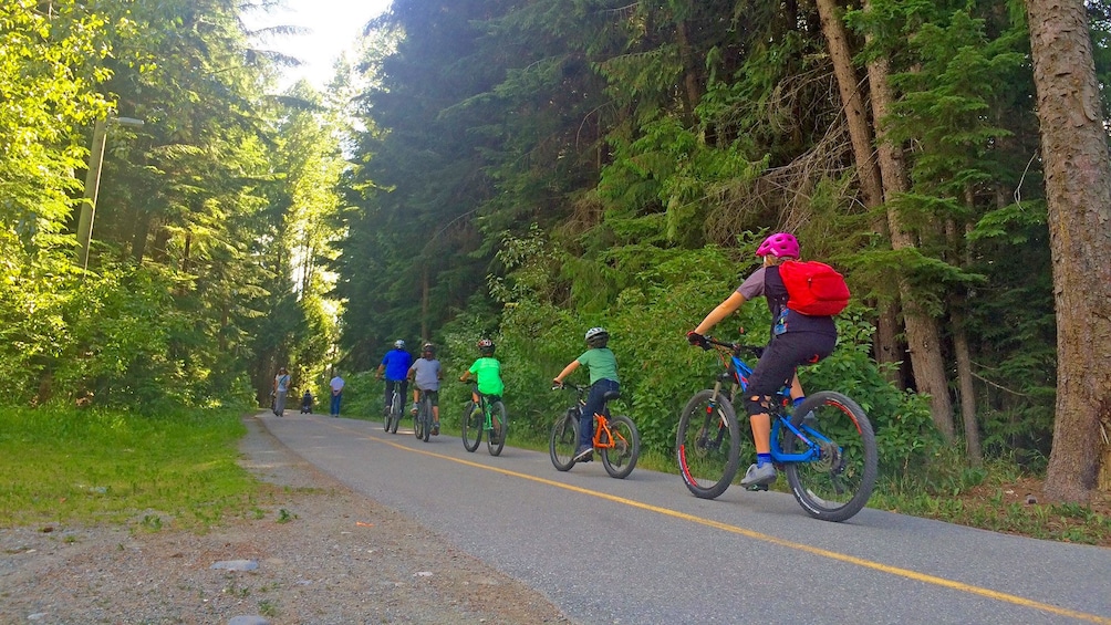 Bike tour in Whistler 