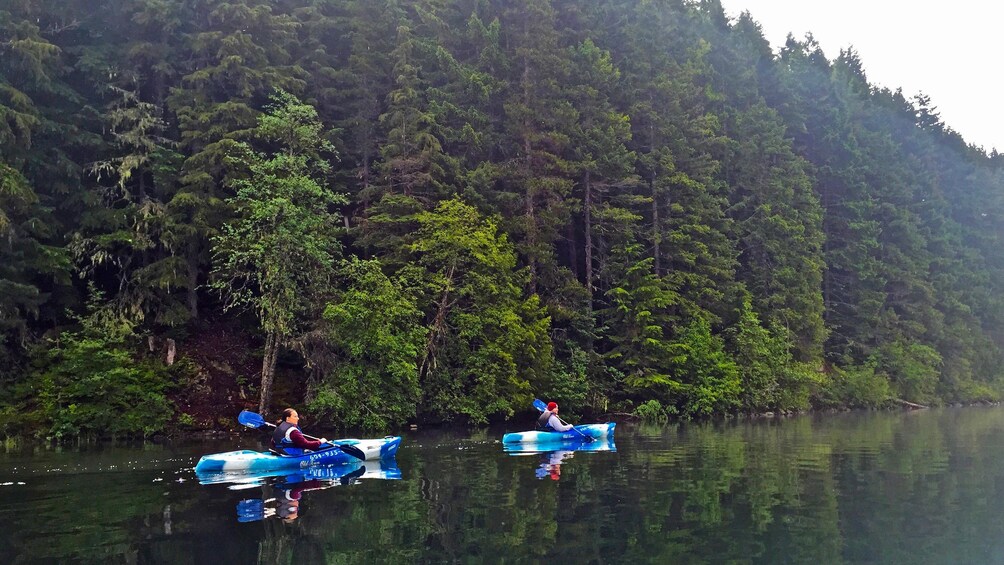 Lake canoe tour view near Whistler