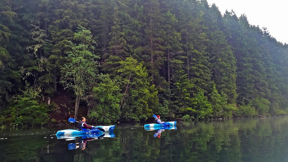 Lake canoe tour view near Whistler