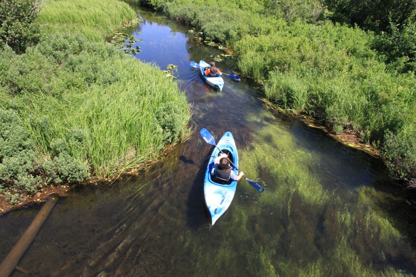 River of Golden Dreams Canoe or Kayak Tour - Self-Guided