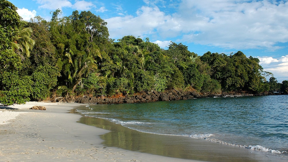 Guided Manuel Antonio National Park Hike