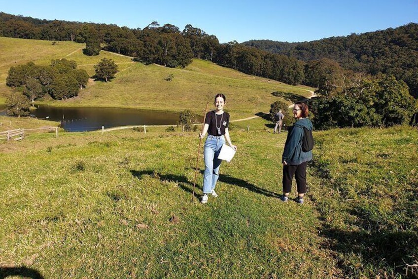 Pokolbin Mountain Private Bushwalks