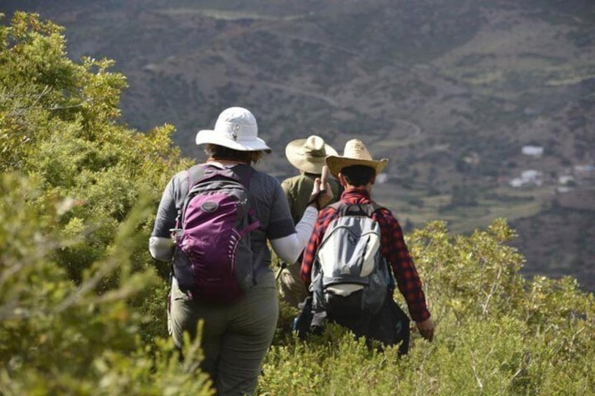 4 days trekking in the Rif mountains