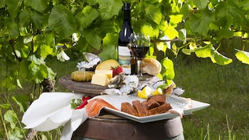 Bruny Island Gourmet Food & Wine Day Tour