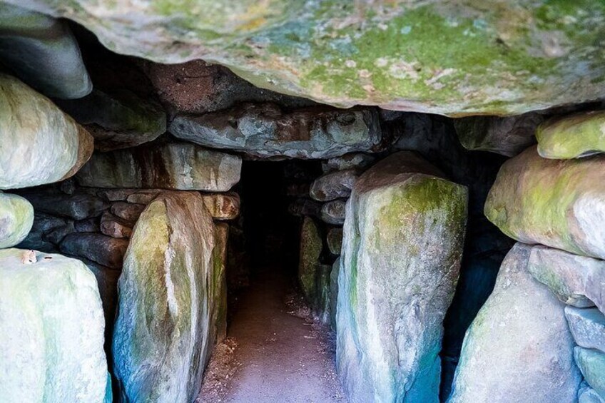 Ancient Britain: Sacred forests, Neolithic burials and UFO sights