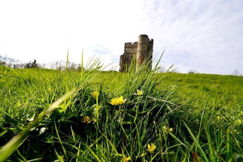 Ancient Britain: Sacred forests, Neolithic burials and UFO sights