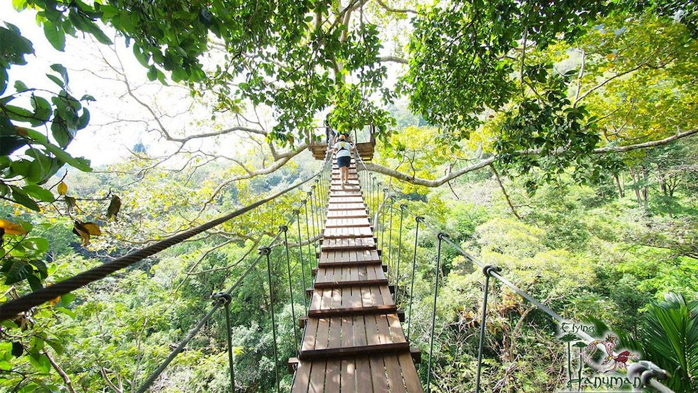 แสดงภาพที่ 5 จาก 5 View of the bridge on the Flying Hanuman Course in Phuket