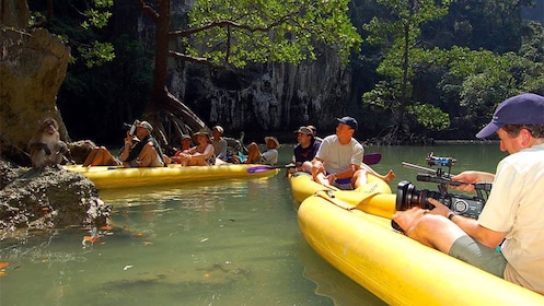 ทัวร์พายเรือแคนูถ้ำจอห์น เกรย์ในอ่าวพังงา