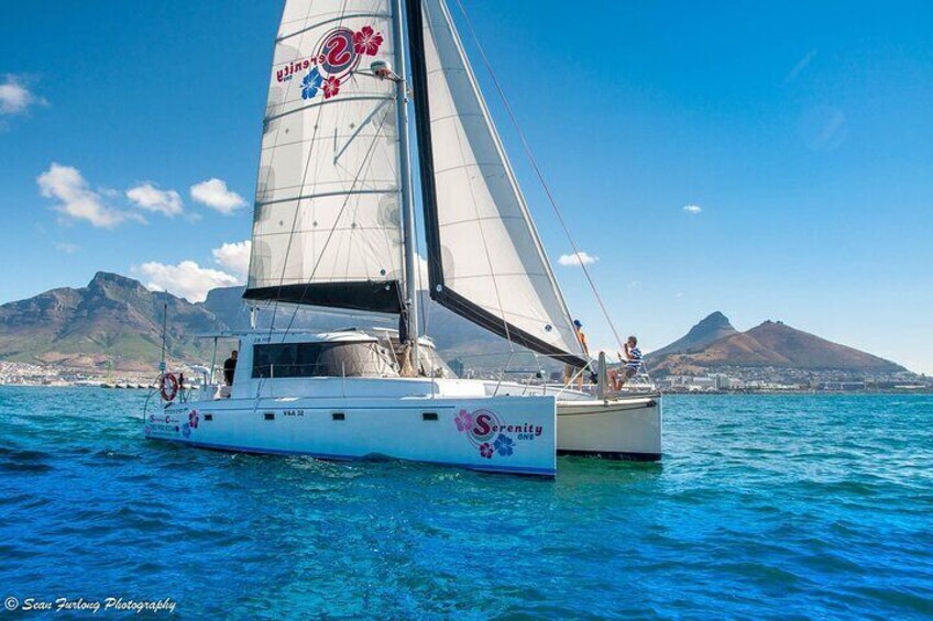 Catamaran Cruise and Sushi Experience in Cape Town