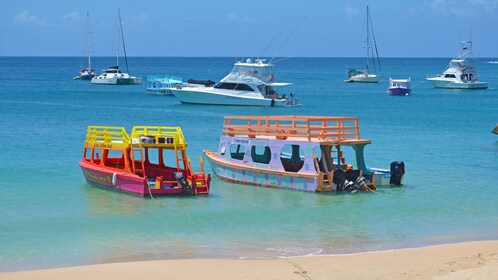 Bateau à fond de verre et plongée en apnée avec Tobago Faits saillants Tour