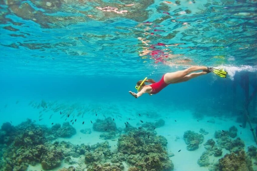 Glass-Bottom Boat & snorkeling with Tobago Highlights Tour