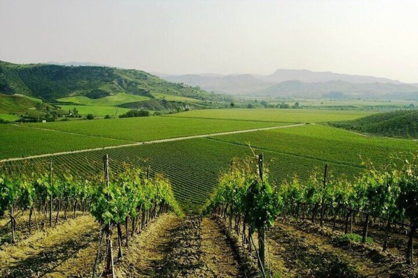 Private Day Tour to Krimisa with Wine Tasting