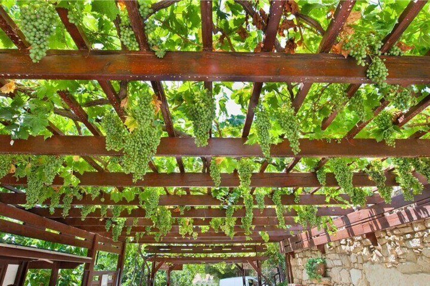 Crete Private Wine Tour