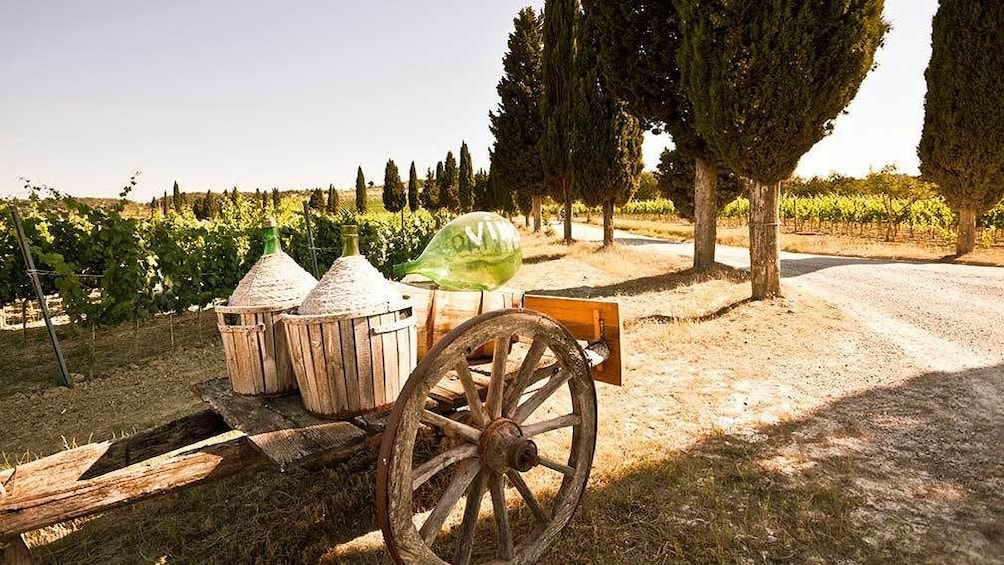 Wine cart at a vineyard in Florence